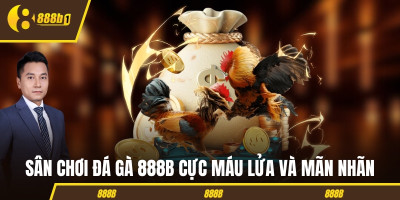 Sân chơi đá gà 888B cực máu lửa và mãn nhãn