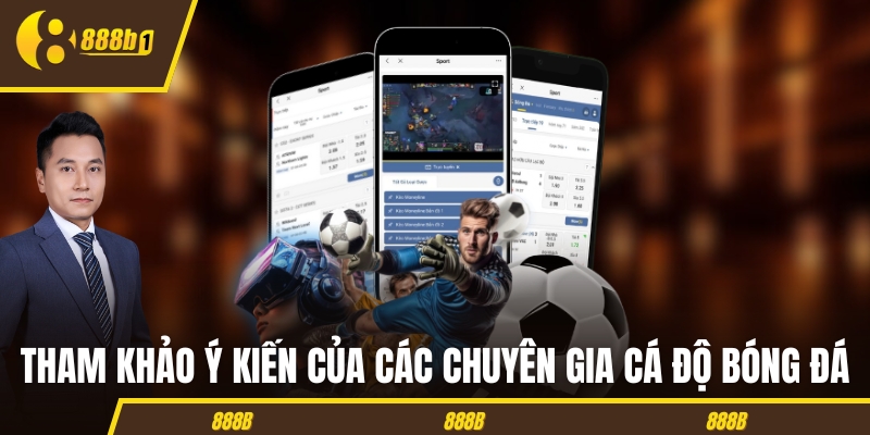 Tham khảo ý kiến của các chuyên gia cá độ bóng đá