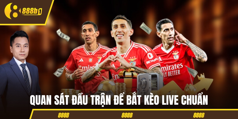 Quan sát đầu trận để bắt kèo live chuẩn