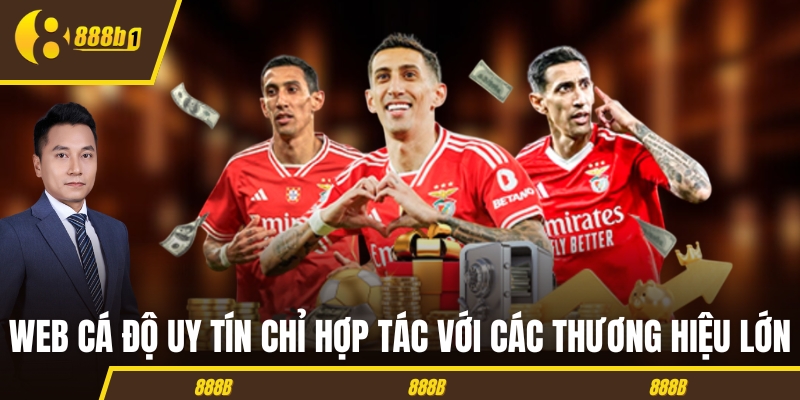 Web cá độ uy tín chỉ hợp tác với các thương hiệu lớn